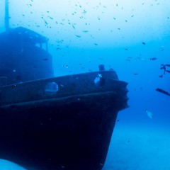 Malta tra le migliori destinazioni al mondo per il Diving