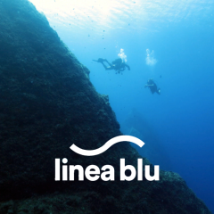 A Malta con le telecamere di Linea Blu