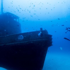 Diving a Malta, Gozo e Comino: alla scoperta del paradiso sottomarino