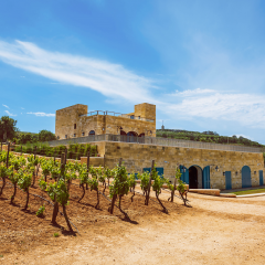 Vino a Malta, un’intervista al “Brand Ambassador Wines of Malta & Gozo”