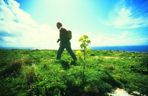 Greening The Islands, Malta