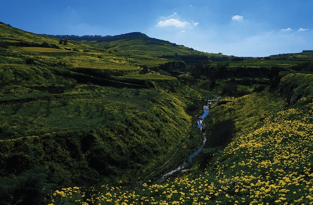 Greening The Islands, la sostenibilità made in Malta