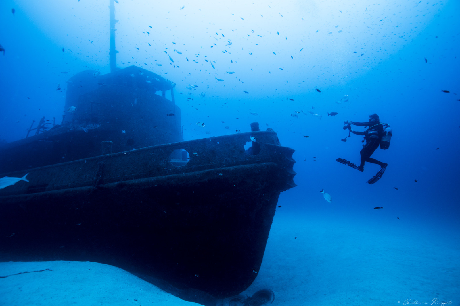 Diving Malta © Guillaume Ruoppolo 