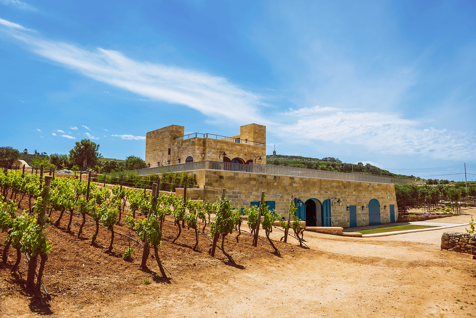 Vino a Malta, un’intervista al “Brand Ambassador Wines of Malta & Gozo”